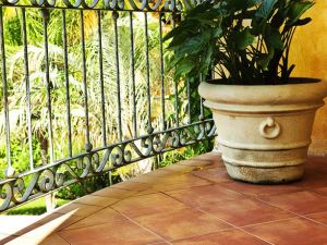 Saltillo and Terra Cotta