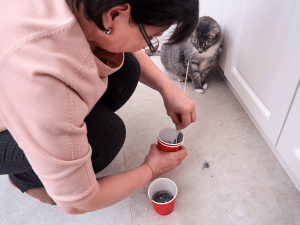 The Hidden Costs of DIY Stone Restoration